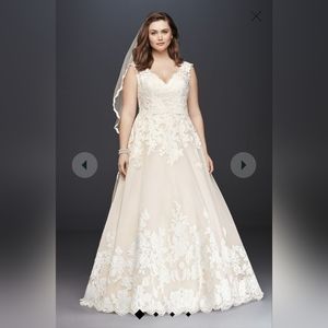 Ivory/Champagne V-neck Scalloped Lace Wedding Dress